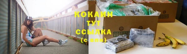 трава Аркадак