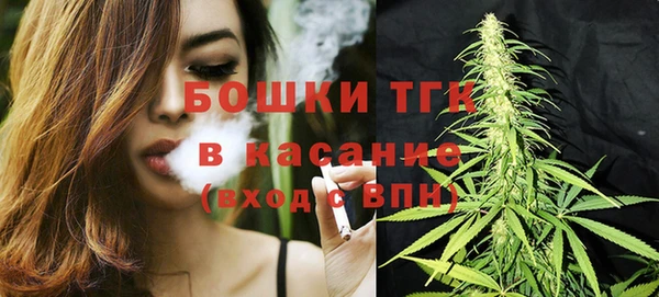 трава Аркадак