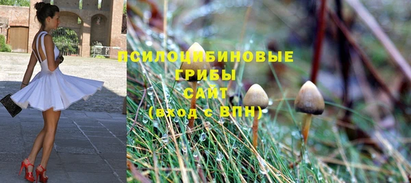 гашиш Арсеньев
