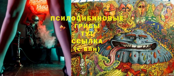 трава Аркадак