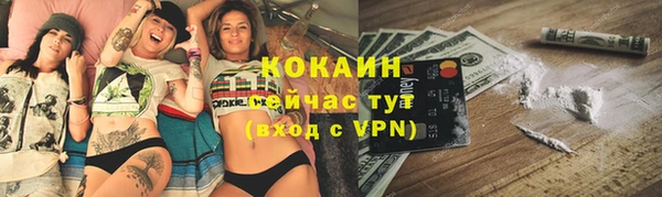 трава Аркадак